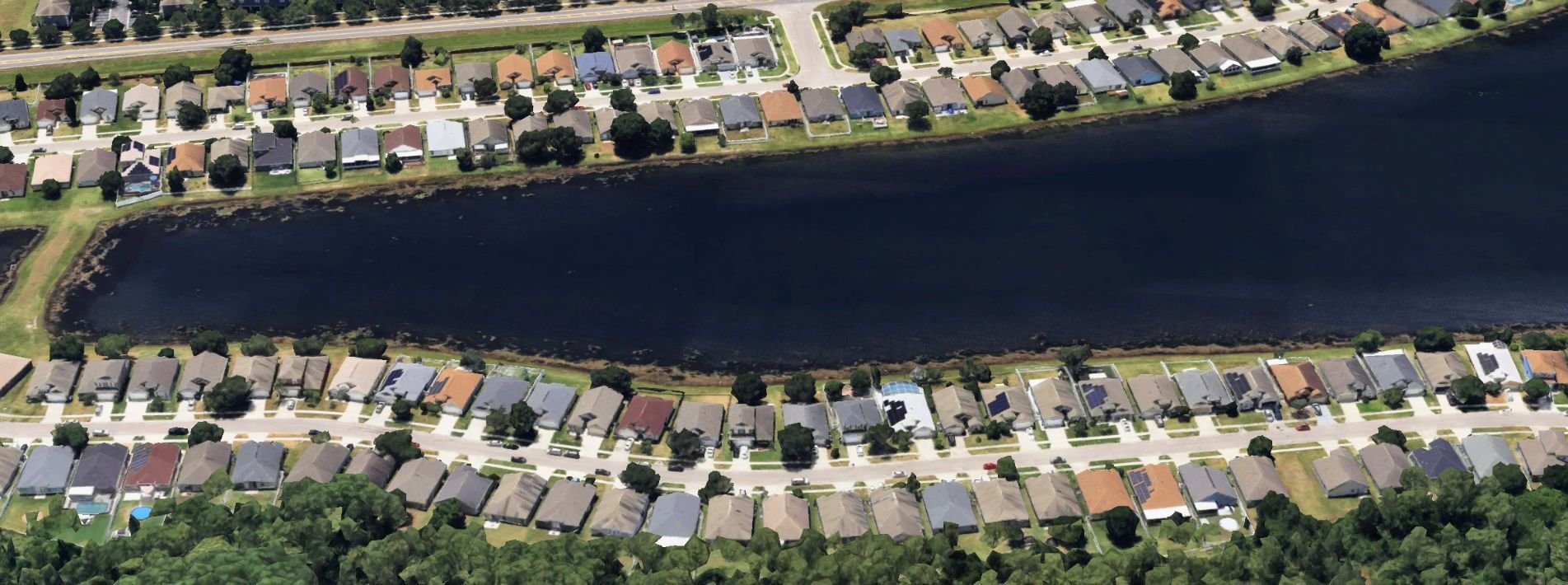 Image of Young Pine East Orlando Real Estate