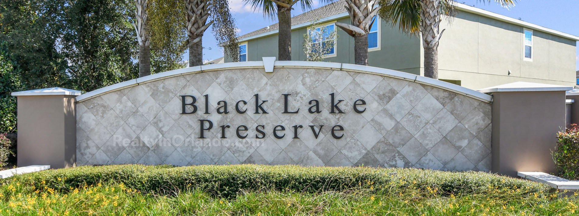 Black Lake Preserve Winter Garden