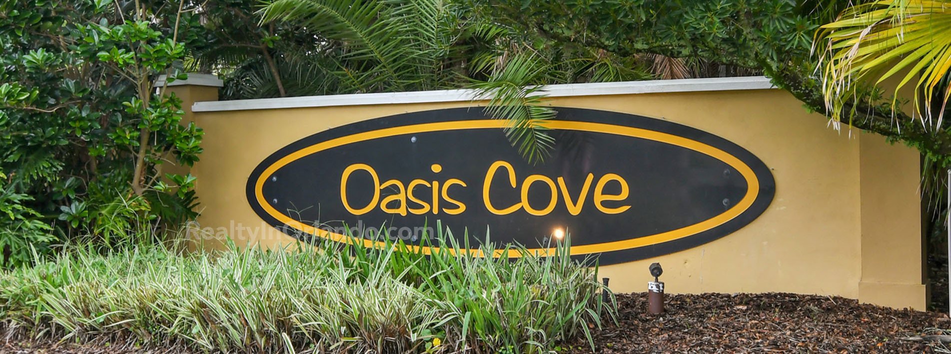 Oasis Cove Homes for Sale