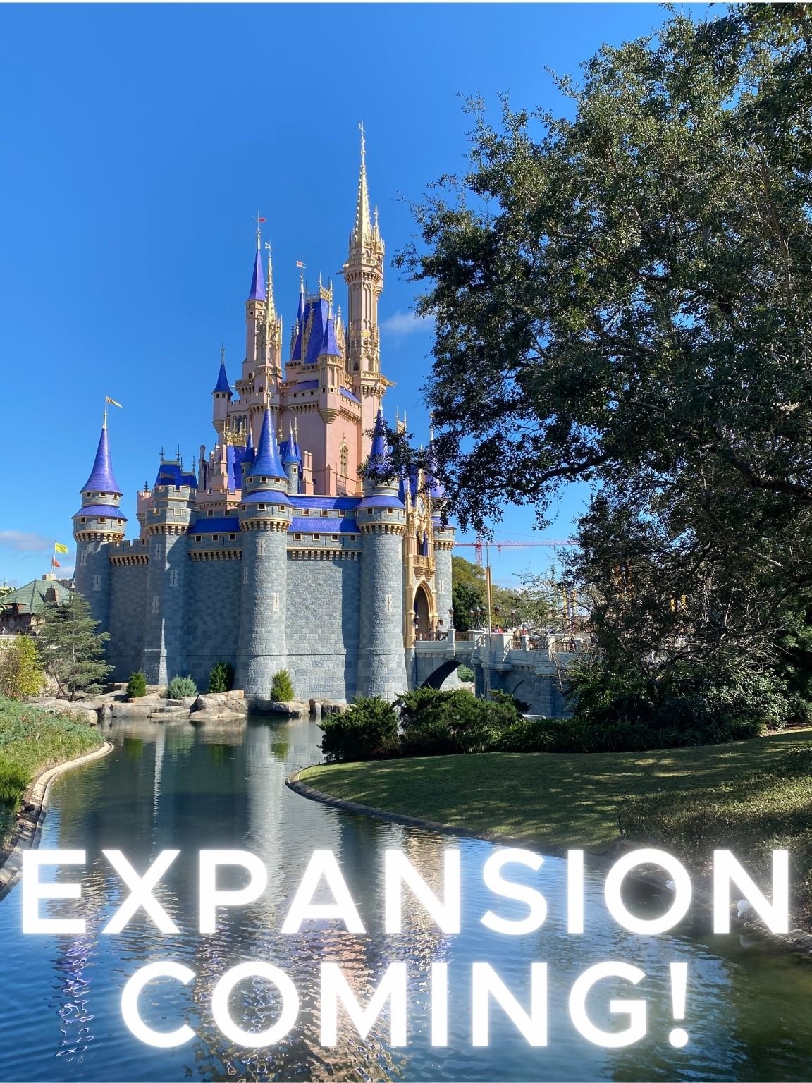 Magic Kingdom Expansion Announcement