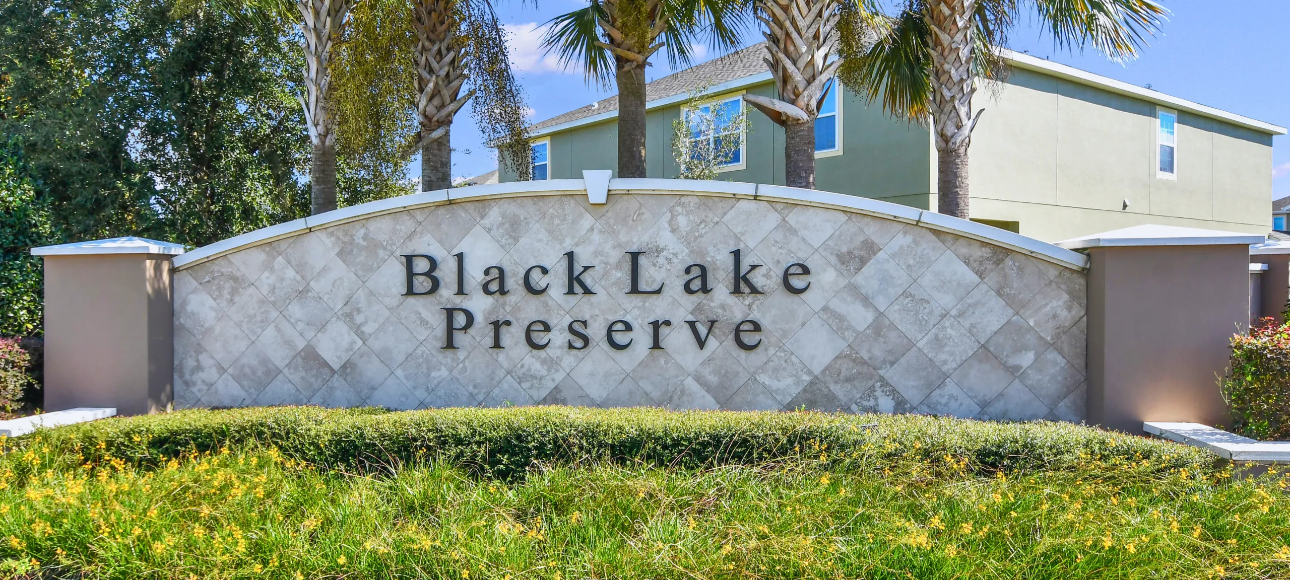Black Lake Preserve Winter Garden